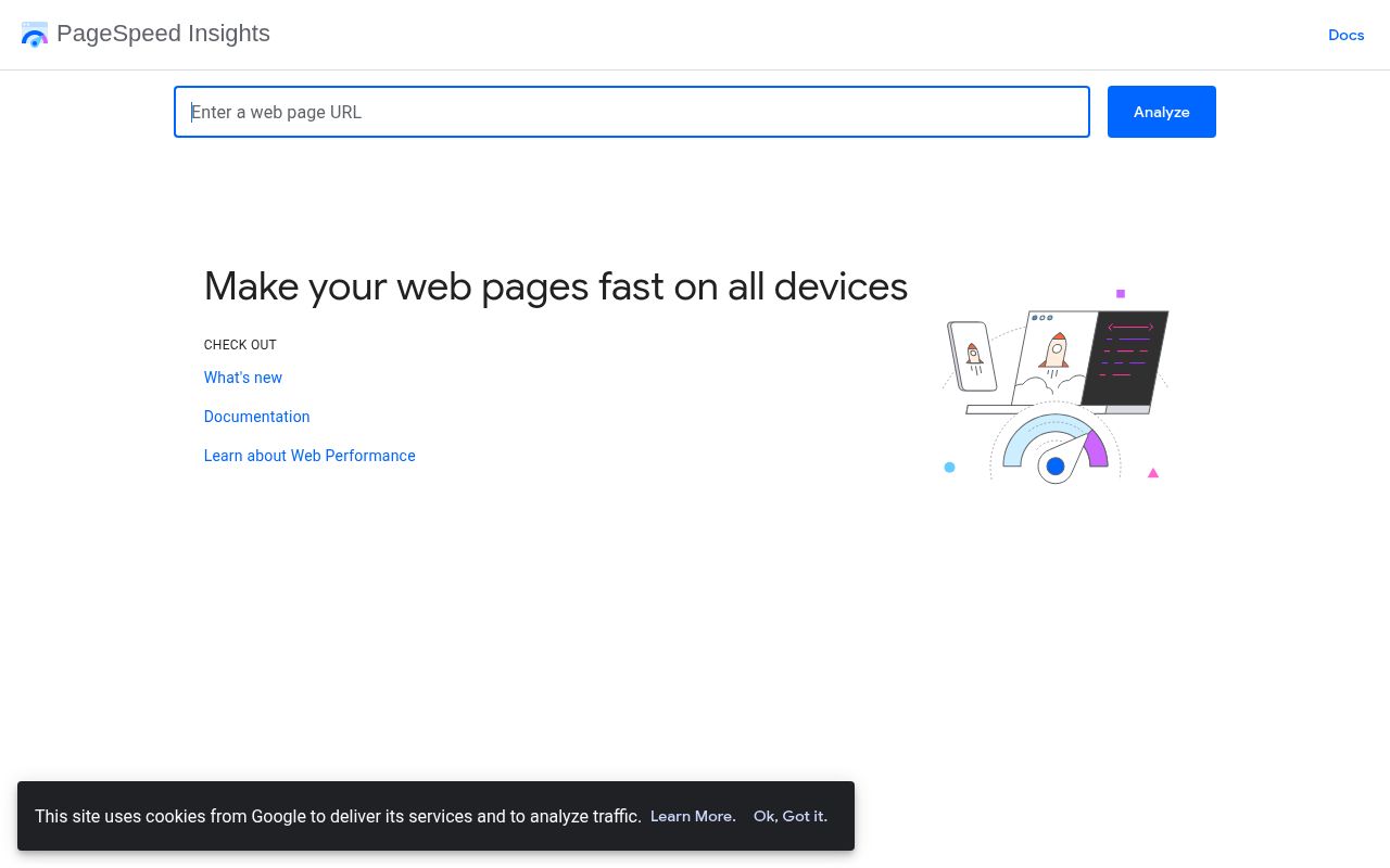 PageSpeed Insights